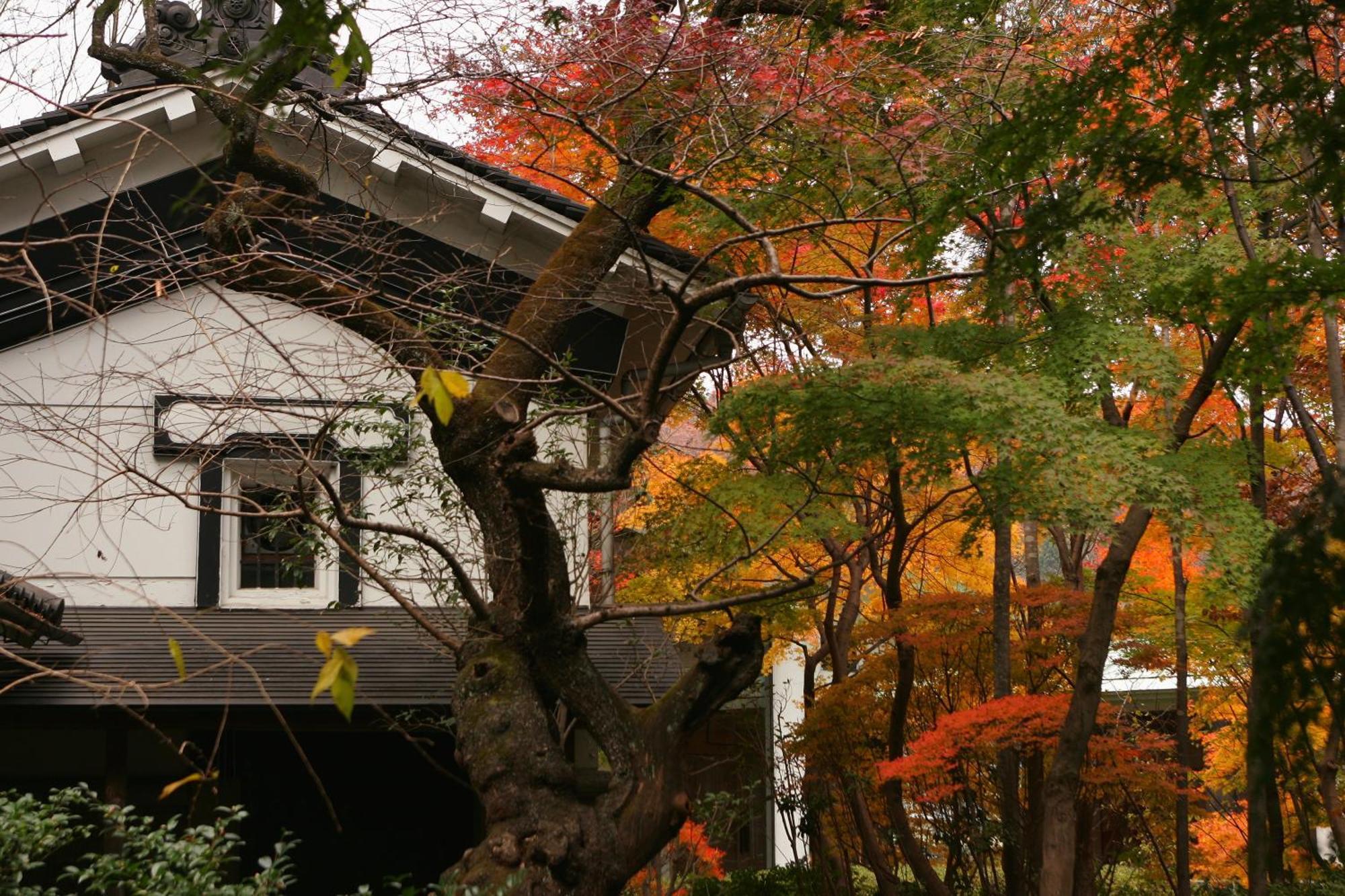 Sakan Sendai Exterior foto